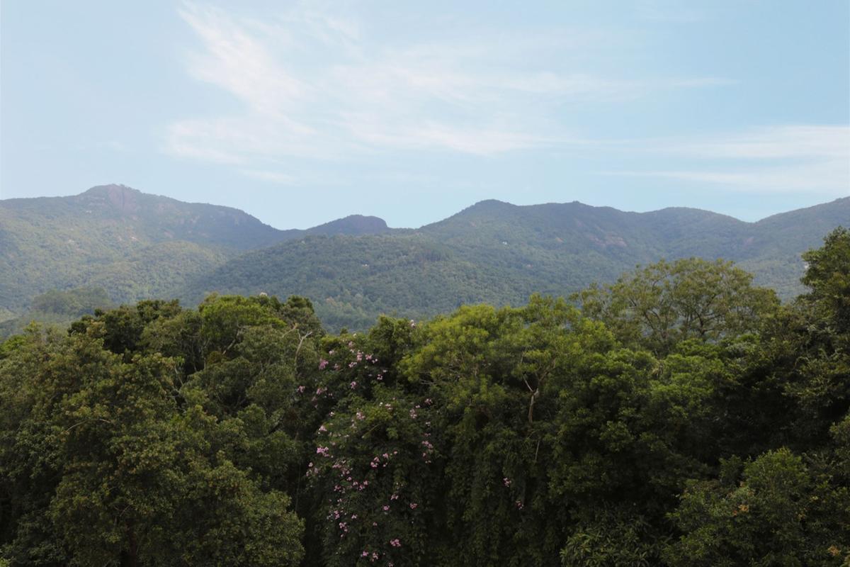 Colônia AFPESP de Monte Verde